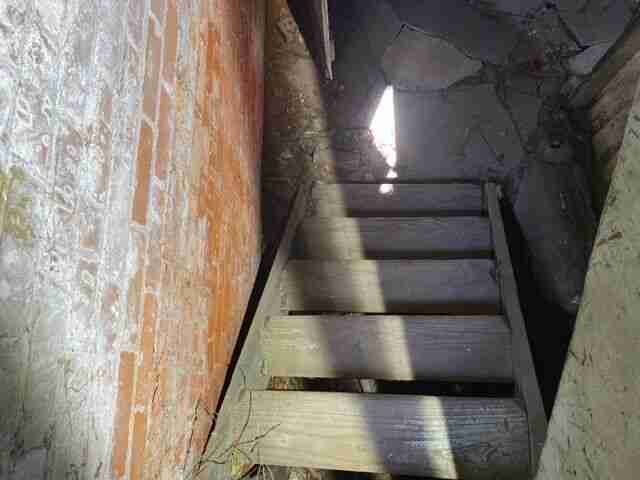 Testing again(65).jpg